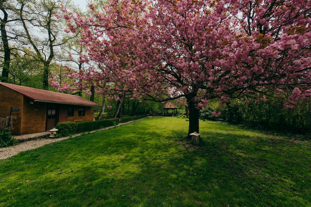 Shubu Zen Vendeghaz Hotel Szilvásvárad Eksteriør billede
