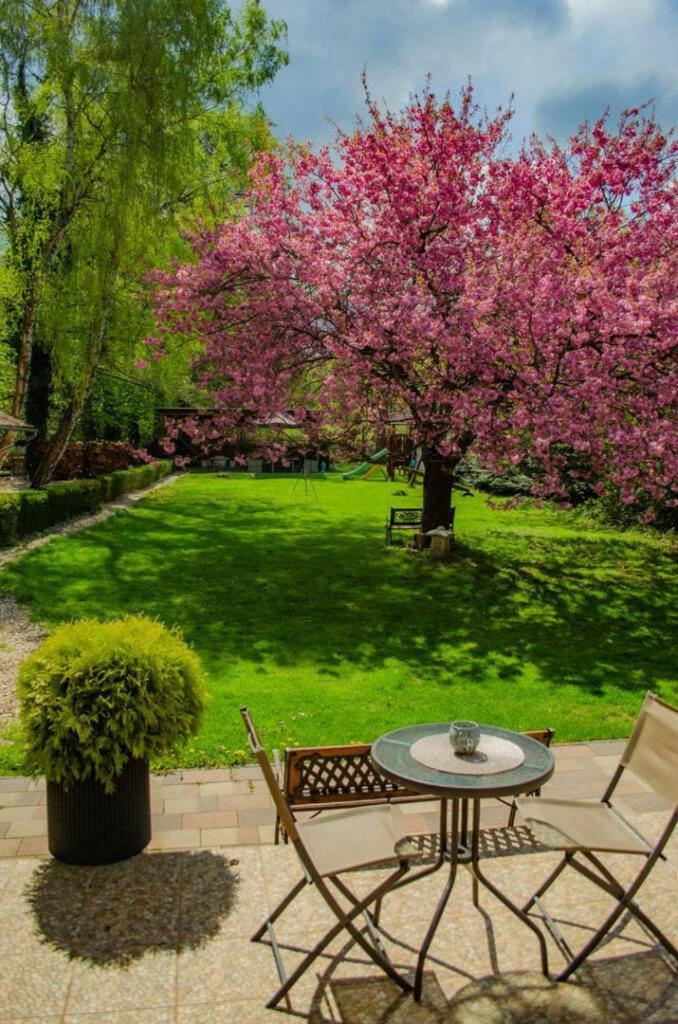 Shubu Zen Vendeghaz Hotel Szilvásvárad Eksteriør billede