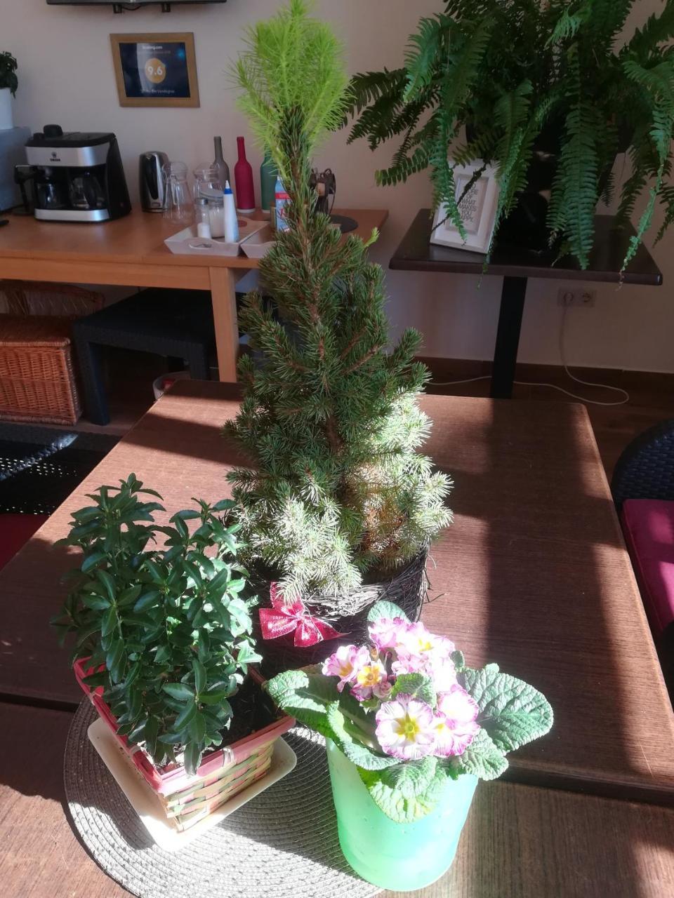 Shubu Zen Vendeghaz Hotel Szilvásvárad Eksteriør billede